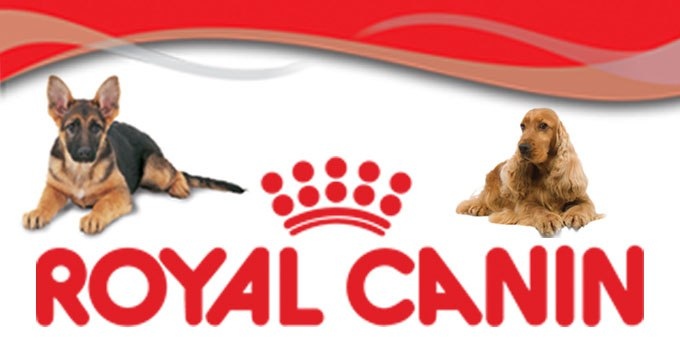 icon - /uploads/s/t/c/h/tchtupo6fx78/img/full_1sbXRpZZ.jpg