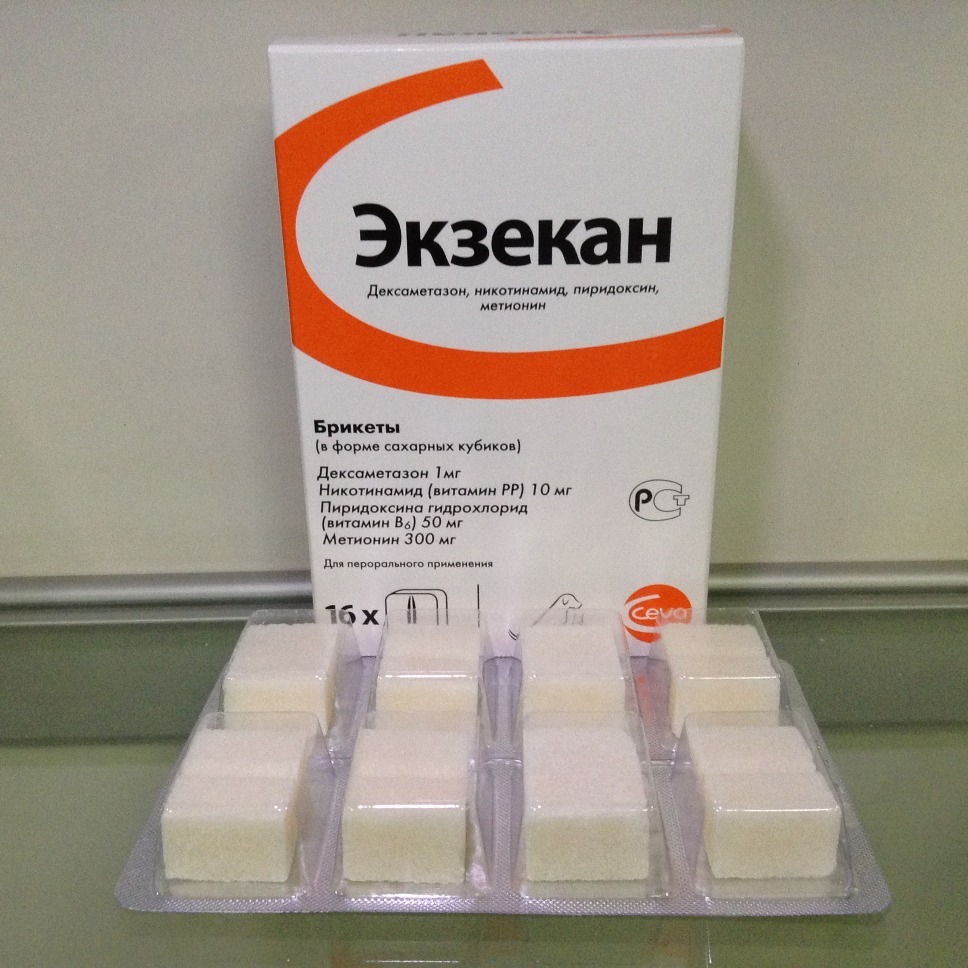 Экзекан (таблетки жевательные) Экзекан (таблетки жевательные)