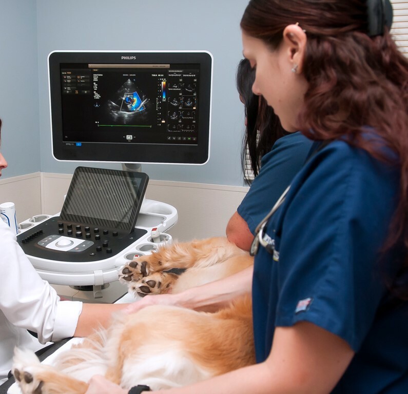 Эхокардиография сердца (расходные материалы не входят в стоимость услуги) Эхокардиография сердца (расходные материалы не входят в стоимость услуги)